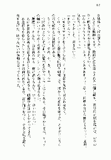 邪悪な魔王が伝説の女勇者に転生したようです, 日本語