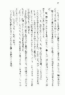 邪悪な魔王が伝説の女勇者に転生したようです, 日本語