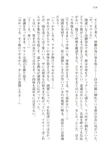 僕のパーティーが修羅場すぎて世界が救えない, 日本語