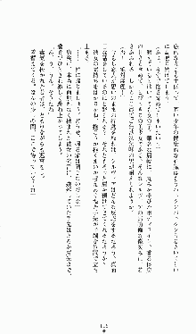 プリンセスラバー！ シルヴィア＝ファン・ホッセンの恋路, 日本語