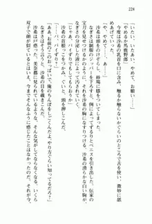 兄よりすぐれた妹などこの世に存在してはいけない, 日本語