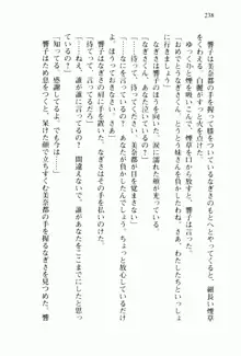 兄よりすぐれた妹などこの世に存在してはいけない, 日本語