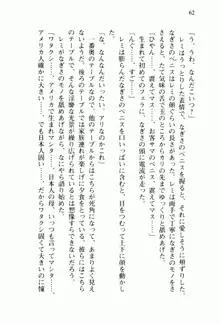 兄よりすぐれた妹などこの世に存在してはいけない, 日本語