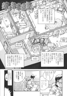 ろり～はめはめ  +『ろり～はめはめ』 描き下ろし8P小冊子, 日本語