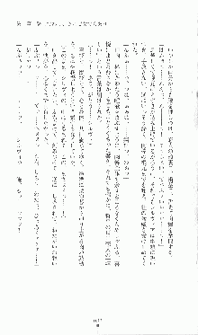 プリンセスラバー！ シルヴィア＝ファン・ホッセンの恋路Ⅱ, 日本語