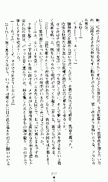 つよきすアナザーストーリー 椰子なごみの場合, 日本語