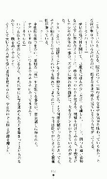 つよきすアナザーストーリー 椰子なごみの場合, 日本語