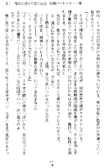 つよきすアナザーストーリー 霧夜エリカの場合, 日本語