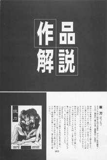 禁忌Ⅱ THE WORKS OF SHINJI YAMAGUCHI, 日本語