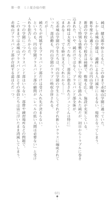 ぶらばん！ 中ノ島妙の事情, 日本語