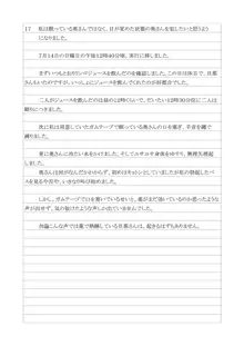 性犯罪供述調書, 日本語