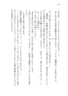 僕が異世界の女帝だなんて絶対無理！, 日本語