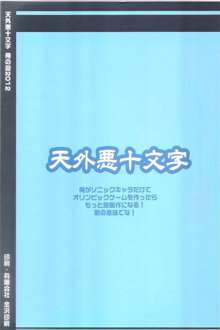 俺の夏2012, 日本語