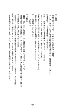 つよきすアナザーストーリー おとなごみと猫姫と小さな乙女さんの場合, 日本語