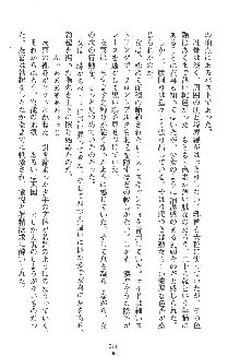 人妻くノ一忍法帖, 日本語