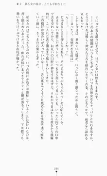 つよきす2学期アナザーデイズ ピンチなごみと男乙女と素奈緒お姉ちゃんの場合, 日本語