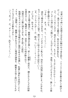 祥華女学園へようこそ 僕は理事長, 日本語