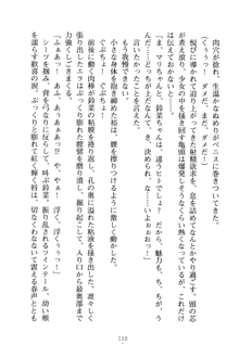 祥華女学園へようこそ 僕は理事長, 日本語