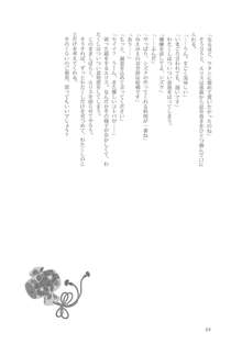 その花びらにくちづけを バレンタイン狂騒曲, 日本語