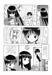 硝子のうさぎ, 日本語