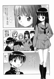 硝子のうさぎ, 日本語