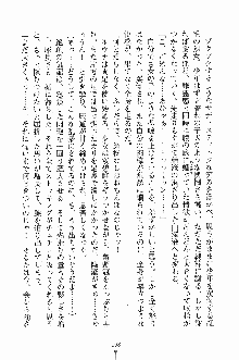 プリンセスパラダイス 召しませ王子様, 日本語