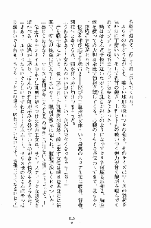 プリンセスパラダイス 召しませ王子様, 日本語