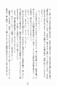 いもうとサマーデイズ お兄ちゃんといっしょ, 日本語