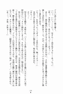 いもうとサマーデイズ お兄ちゃんといっしょ, 日本語