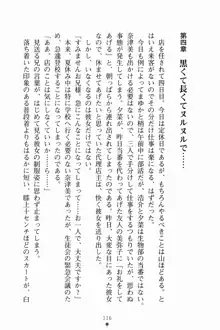 いもうとサマーデイズ お兄ちゃんといっしょ, 日本語