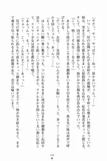 いもうとサマーデイズ お兄ちゃんといっしょ, 日本語