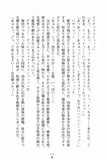 いもうとサマーデイズ お兄ちゃんといっしょ, 日本語