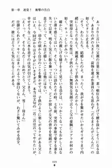 いもうとサマーデイズ お兄ちゃんといっしょ, 日本語