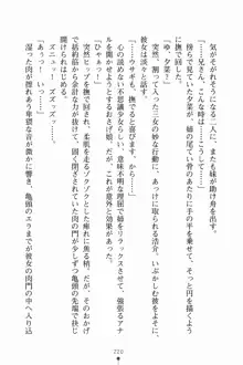 いもうとサマーデイズ お兄ちゃんといっしょ, 日本語