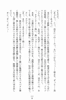 いもうとサマーデイズ お兄ちゃんといっしょ, 日本語