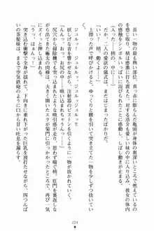 いもうとサマーデイズ お兄ちゃんといっしょ, 日本語