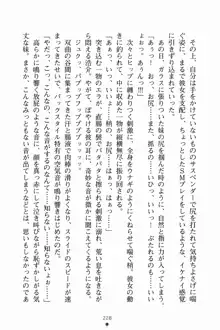 いもうとサマーデイズ お兄ちゃんといっしょ, 日本語