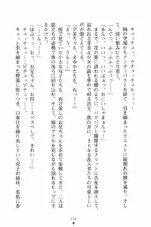 いもうとサマーデイズ お兄ちゃんといっしょ, 日本語