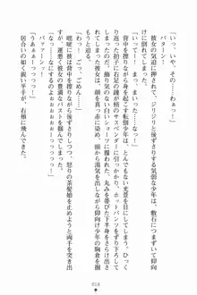 いもうとサマーデイズ お兄ちゃんといっしょ, 日本語