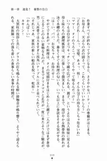 いもうとサマーデイズ お兄ちゃんといっしょ, 日本語