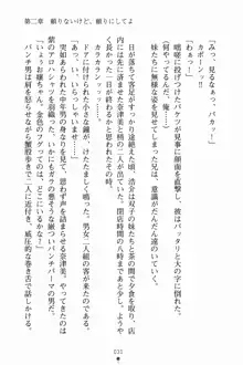 いもうとサマーデイズ お兄ちゃんといっしょ, 日本語