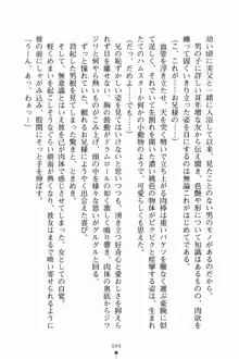 いもうとサマーデイズ お兄ちゃんといっしょ, 日本語