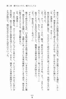 いもうとサマーデイズ お兄ちゃんといっしょ, 日本語