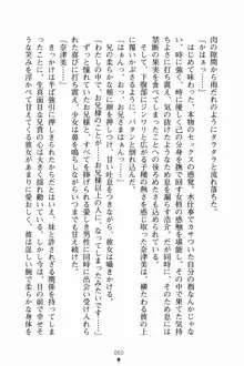 いもうとサマーデイズ お兄ちゃんといっしょ, 日本語