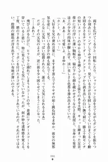 いもうとサマーデイズ お兄ちゃんといっしょ, 日本語