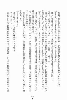 いもうとサマーデイズ お兄ちゃんといっしょ, 日本語