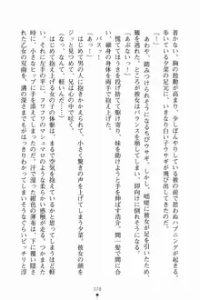 いもうとサマーデイズ お兄ちゃんといっしょ, 日本語