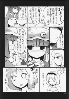 東方エロ集め。, 日本語