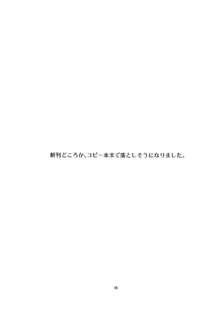 咲夜とアリスでふたなり！だけど本番無し！…そんなアホな内容です。, 日本語