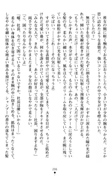 すうぃーとオフィス 誘惑の社長室, 日本語